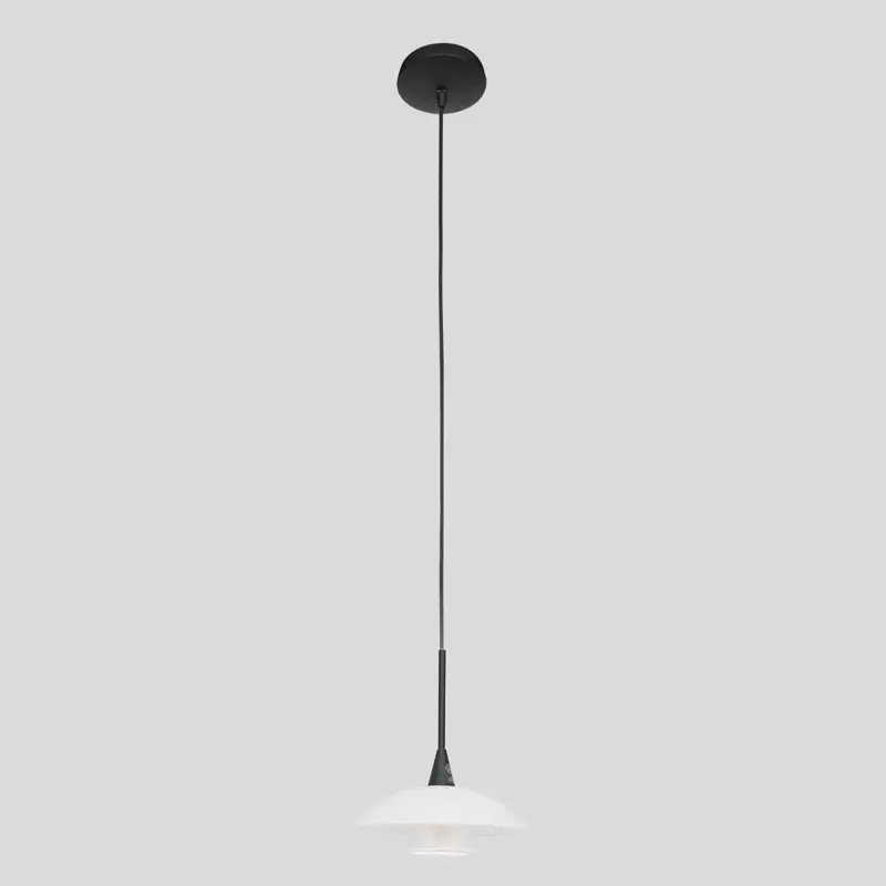 Foto 11 Hanglamp Tallerken 2655ZW Zwart Tallerken 2655ZW