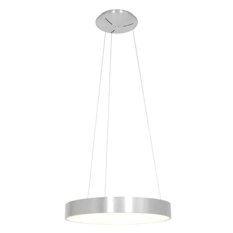 Foto 1 Hanglamp Ringlede 2695ZI Zilver Ringlede 2695ZI