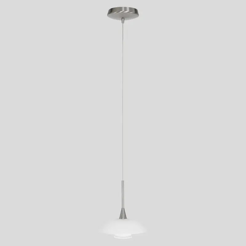 Foto 12 Hanglamp Tallerken 2655ST Staal Tallerken 2655ST