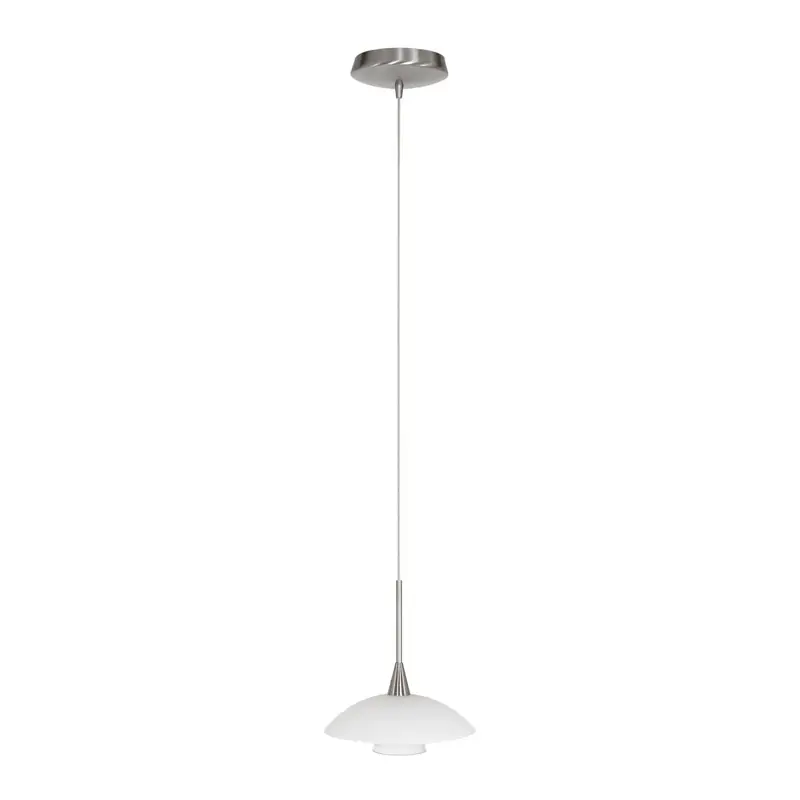Foto 10 Hanglamp Tallerken 2655ST Staal Tallerken 2655ST