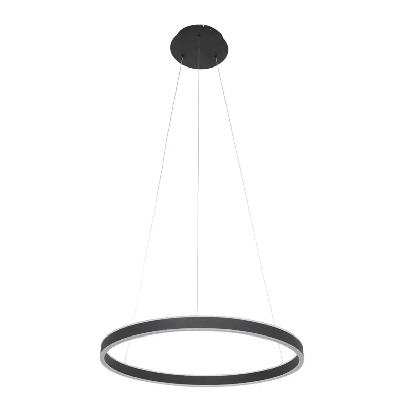 Foto 8 Hanglamp Ringlux 3502ZW Zwart Ringlux 3502ZW