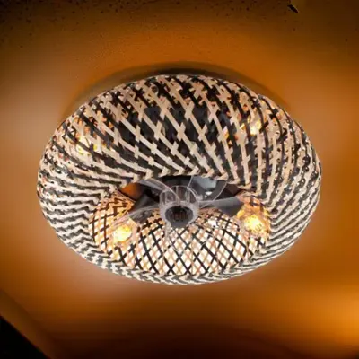 Foto van Plafondventilator Otis