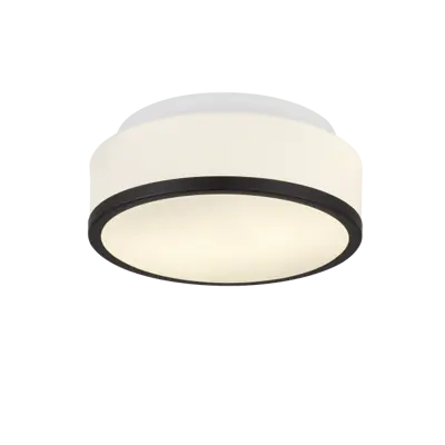 Foto van Cheese 2Lt Flush - Black Metal & White Glass