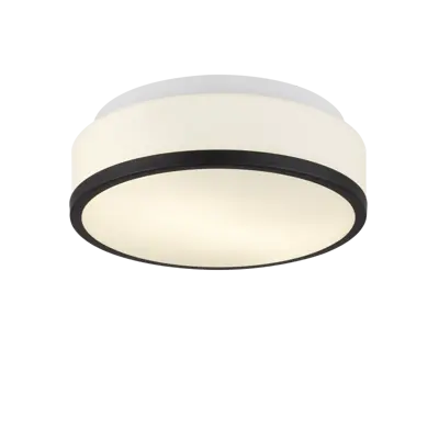 Foto van Cheese 2Lt Flush - Black Metal & White Glass