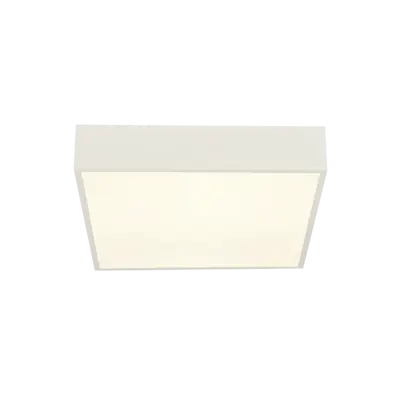Foto van Zeus Flush - White Metal & Opal Polycarbonate