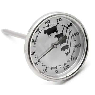 Foto van Vlees thermometer