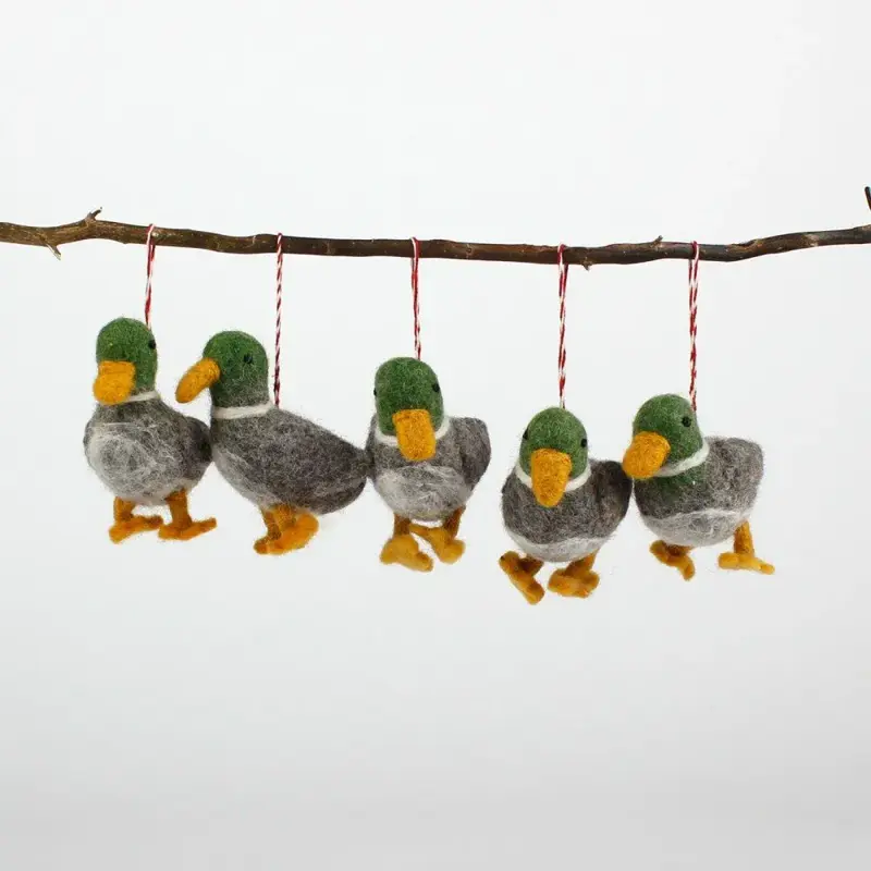 Foto 1 Hanger Eend