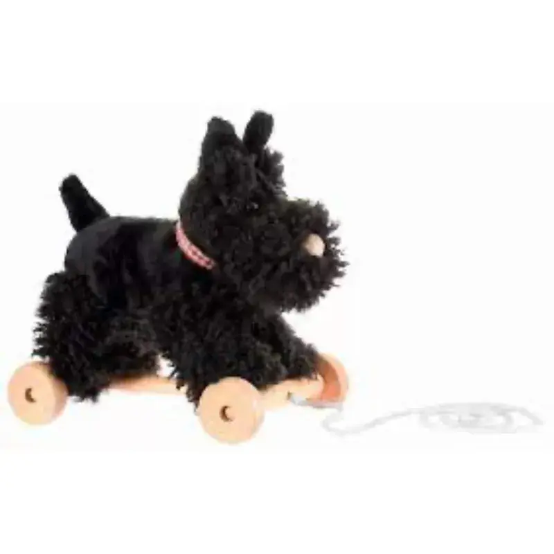 Foto 1 Trekdier hond Walter