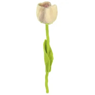 Foto van Vilten tulp Livia