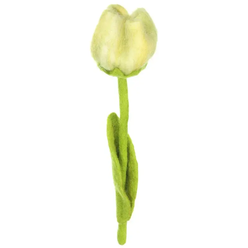 Foto 1 Vilten tulp Gini