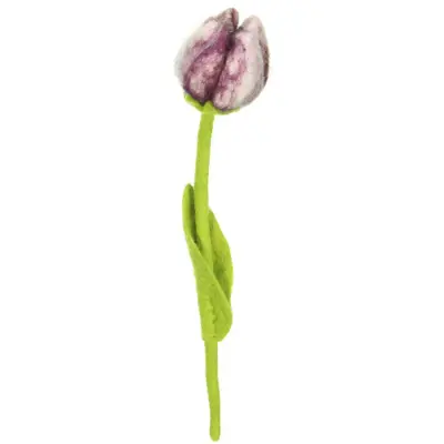 Foto van Vilten tulp Pipa
