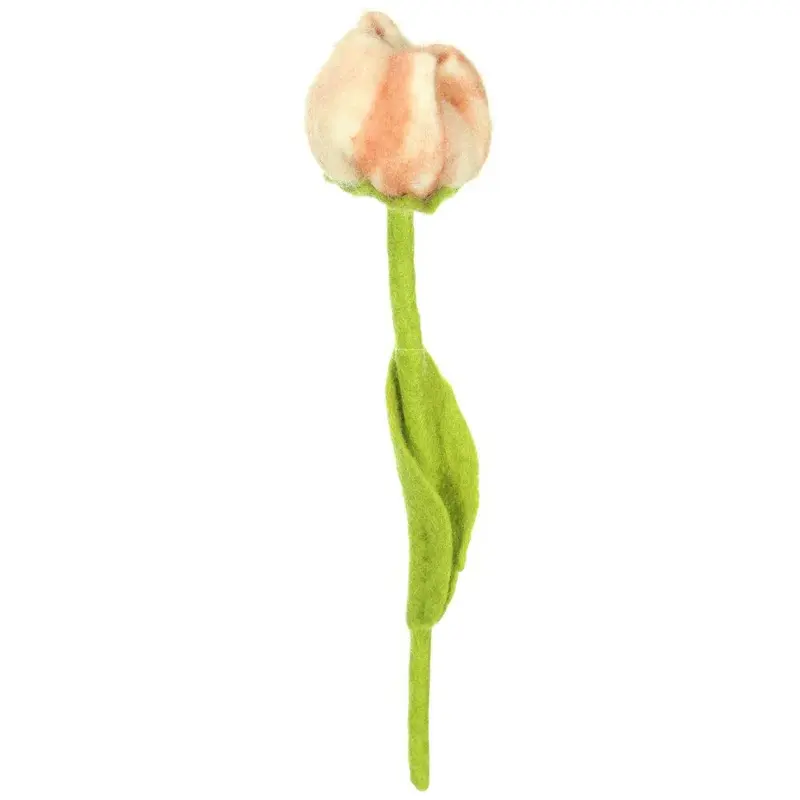 Foto 1 Vilten tulp Zoë
