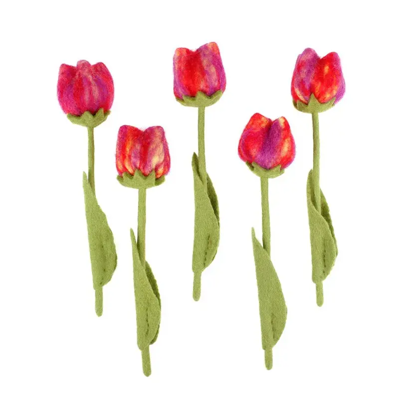 Foto 1 Vilten tulp Pien