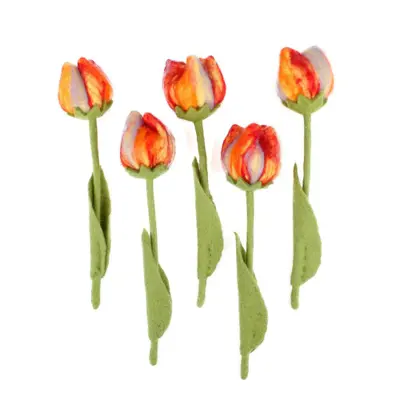 Foto van Vilten tulp Riva