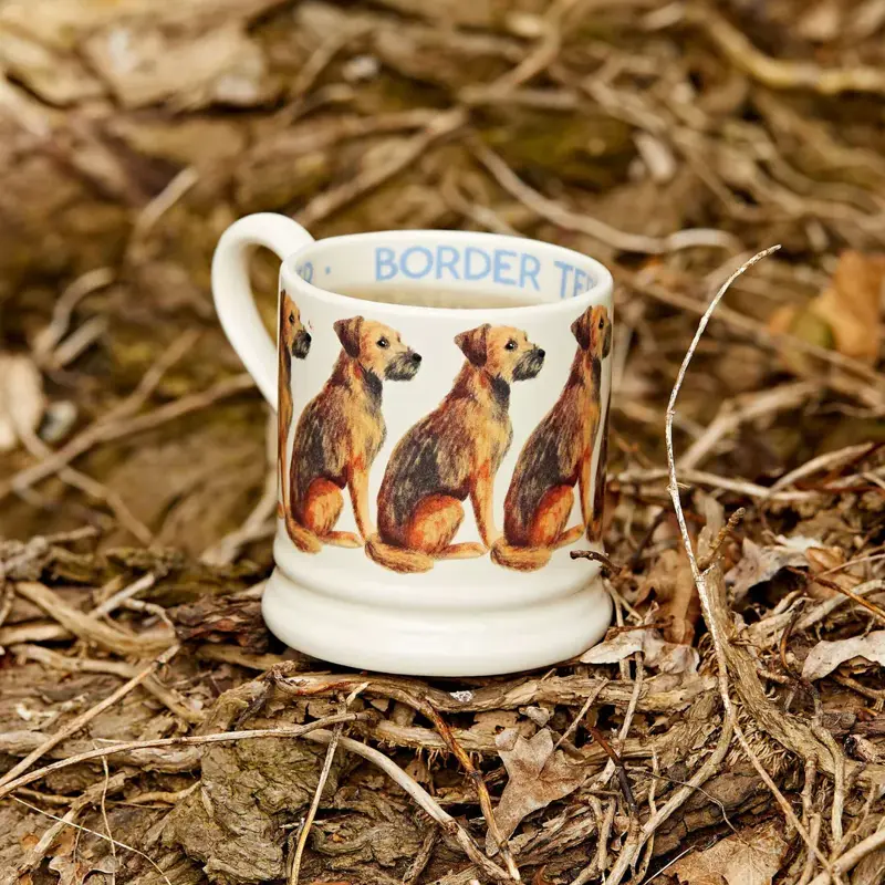 Foto 4 Mug 1/2 Pint Border Terrier