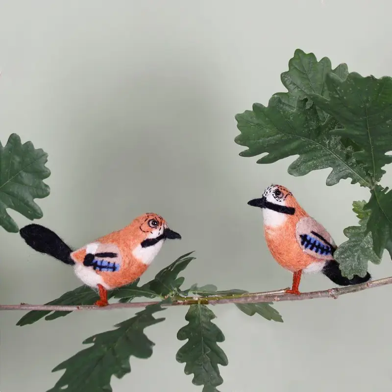 Foto 3 Vilten Dwergpapegaai