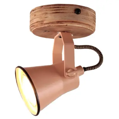 Foto van Spot Vintage Jesse Roze 1l