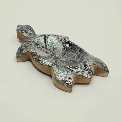 Foto van Houten bakje schilpad met schelp volledig