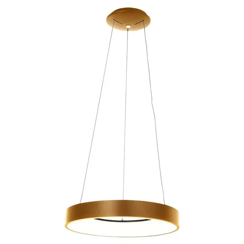 Foto 1 Hanglamp Ringlede 2695GO Goud Ringlede 2695GO