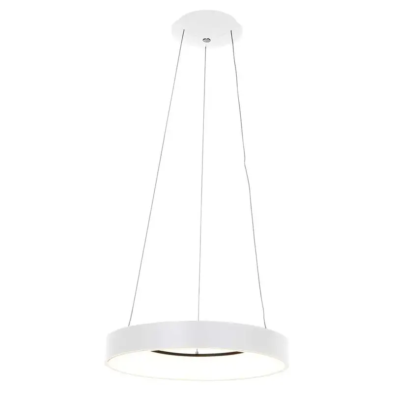 Foto 1 Hanglamp Ringlede 2695W Wit Ringlede 2695W