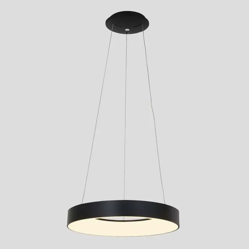 Foto 17 Hanglamp Ringlede 2695ZW Zwart Ringlede 2695ZW