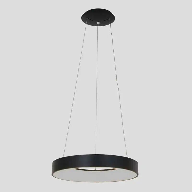 Foto 18 Hanglamp Ringlede 2695ZW Zwart Ringlede 2695ZW