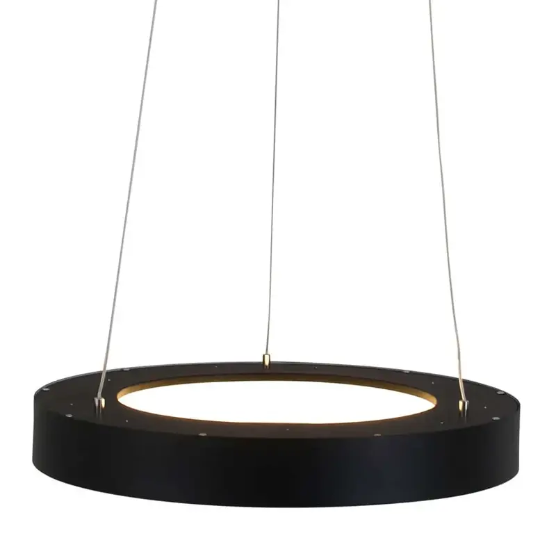 Foto 4 Hanglamp Ringlede 2695ZW Zwart Ringlede 2695ZW