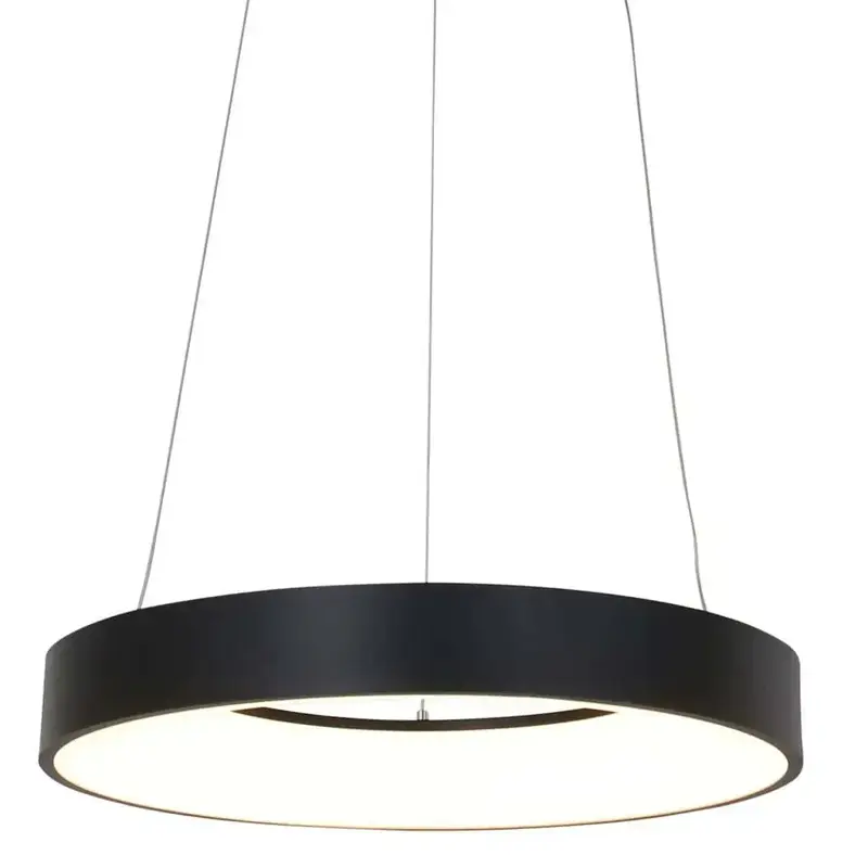 Foto 10 Hanglamp Ringlede 2695ZW Zwart Ringlede 2695ZW