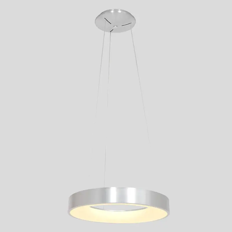 Foto 11 Hanglamp Ringlede 2695ZI Zilver Ringlede 2695ZI