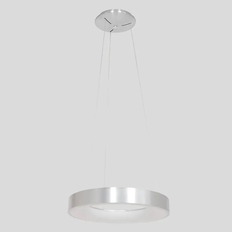 Foto 12 Hanglamp Ringlede 2695ZI Zilver Ringlede 2695ZI