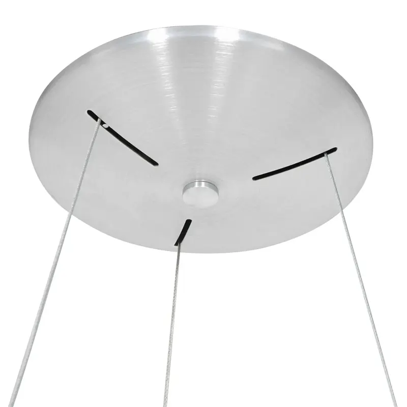 Foto 6 Hanglamp Ringlede 2695ZI Zilver Ringlede 2695ZI