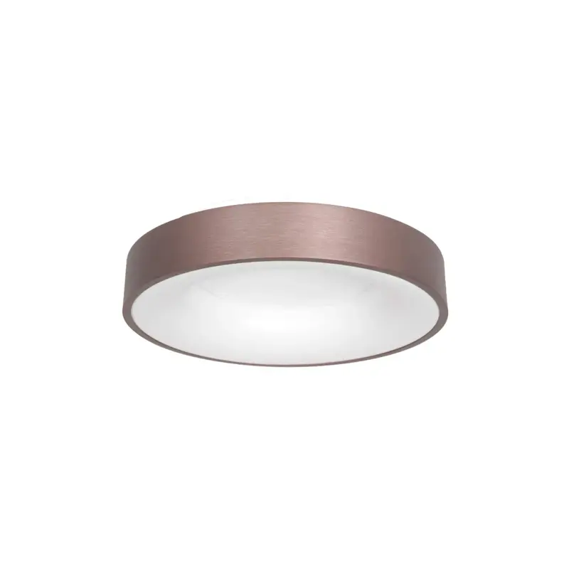 Foto 1 Plafondlamp Ringlede 3086BR Brons Ø30cm Ringlede 3086BR