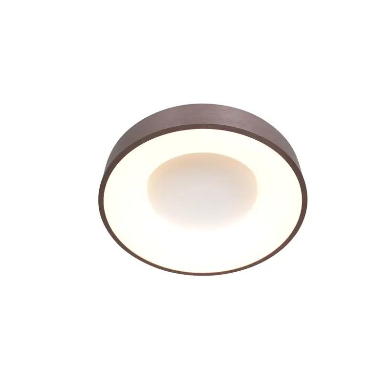 Foto 8 Plafondlamp Ringlede 3086BR Brons Ø30cm Ringlede 3086BR