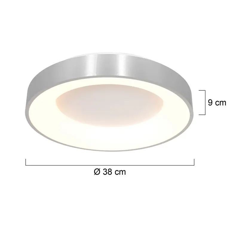 Foto 4 Plafondlamp Ringlede 2562ZI Zilver Ø38cm Ringlede 2562ZI