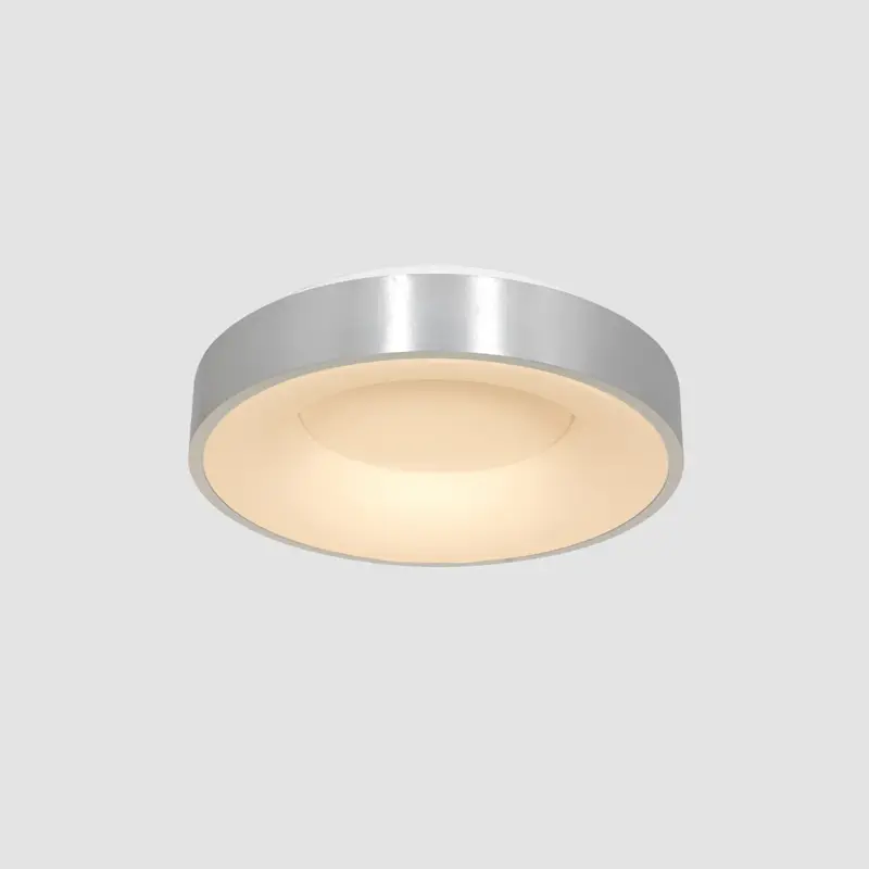Foto 7 Plafondlamp Ringlede 2562ZI Zilver Ø38cm Ringlede 2562ZI