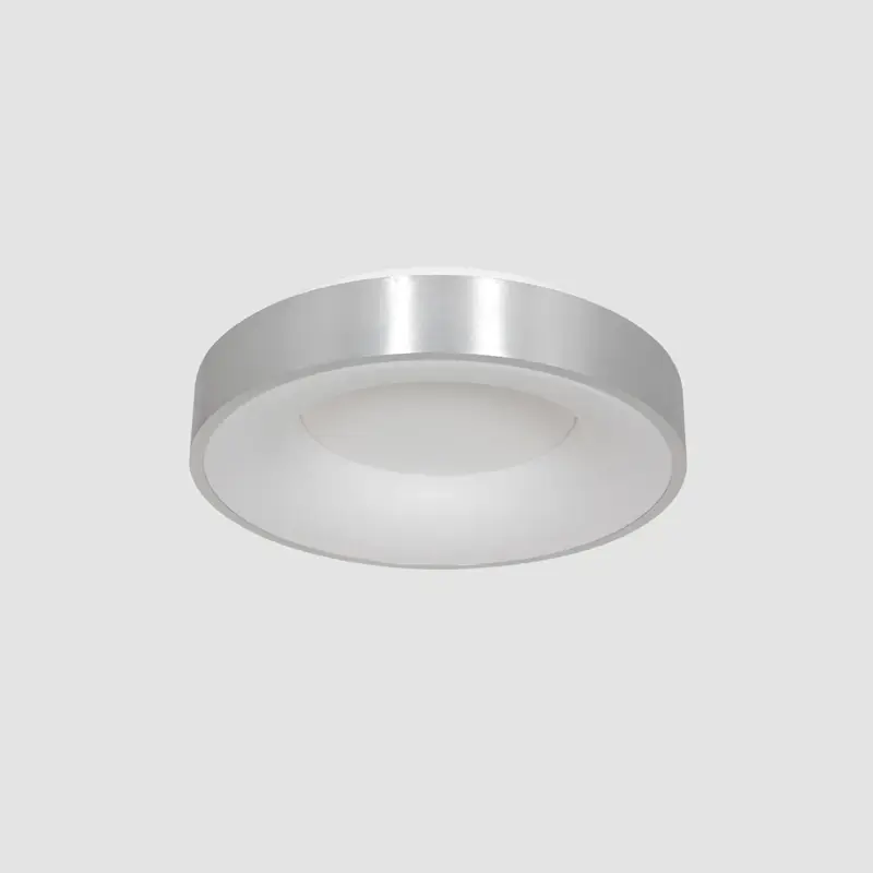 Foto 8 Plafondlamp Ringlede 2562ZI Zilver Ø38cm Ringlede 2562ZI