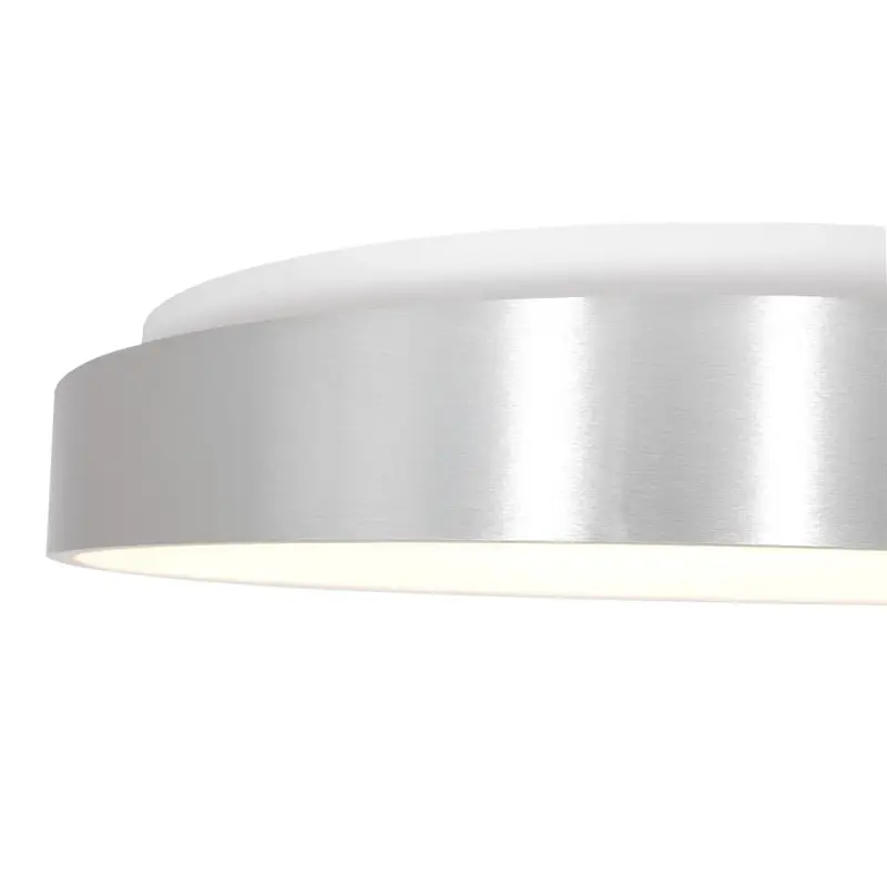 Foto 3 Plafondlamp RInglede 2563ZI Zilver Ø48cm Ringlede 2563ZI