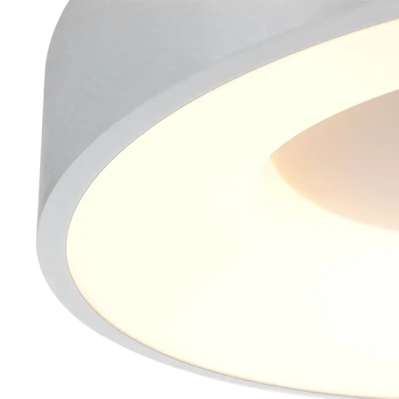 Foto 4 Plafondlamp RInglede 2563ZI Zilver Ø48cm Ringlede 2563ZI