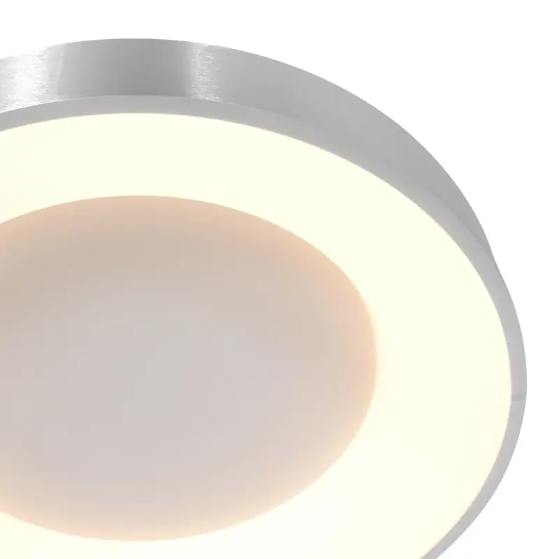 Foto 5 Plafondlamp RInglede 2563ZI Zilver Ø48cm Ringlede 2563ZI