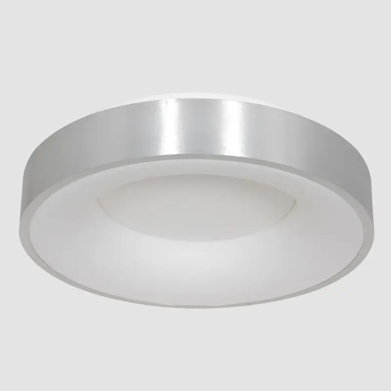 Foto 8 Plafondlamp RInglede 2563ZI Zilver Ø48cm Ringlede 2563ZI