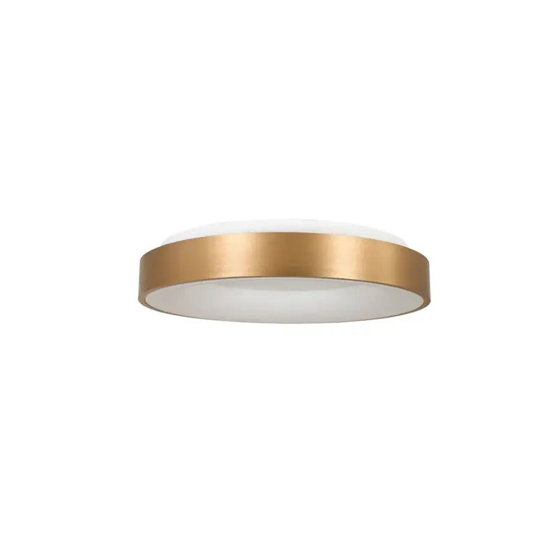 Foto 1 Plafondlamp Ringlede 3086GO Goud Ø30cm Ringlede 3086GO