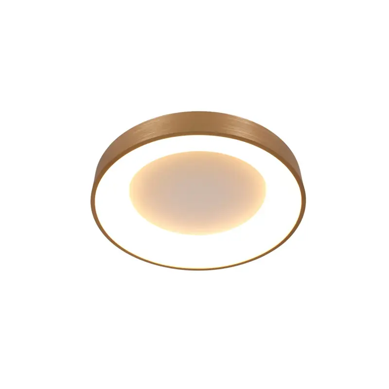 Foto 4 Plafondlamp Ringlede 3086GO Goud Ø30cm Ringlede 3086GO