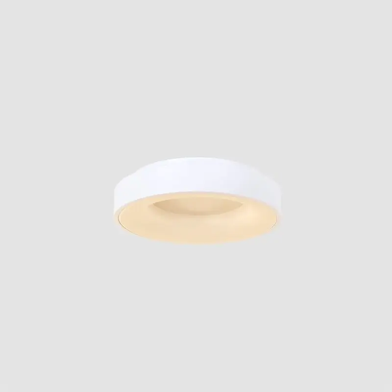 Foto 8 Plafondlamp Ringlede 3086W Wit Ø30cm Ringlede 3086W