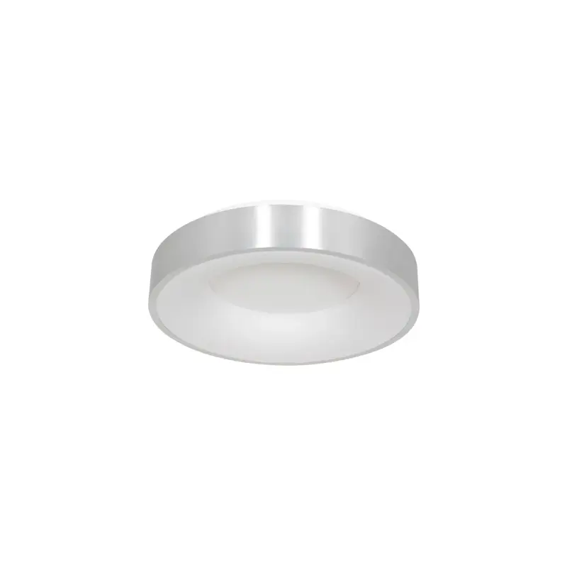 Foto 1 Plafondlamp Ringlede 3086ZI Zilver Ø30cm Ringlede 3086ZI