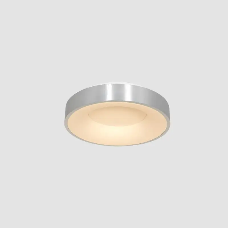 Foto 7 Plafondlamp Ringlede 3086ZI Zilver Ø30cm Ringlede 3086ZI