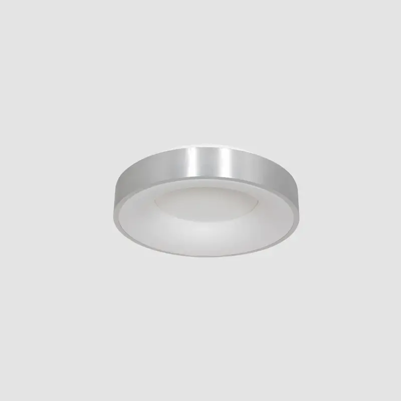 Foto 8 Plafondlamp Ringlede 3086ZI Zilver Ø30cm Ringlede 3086ZI