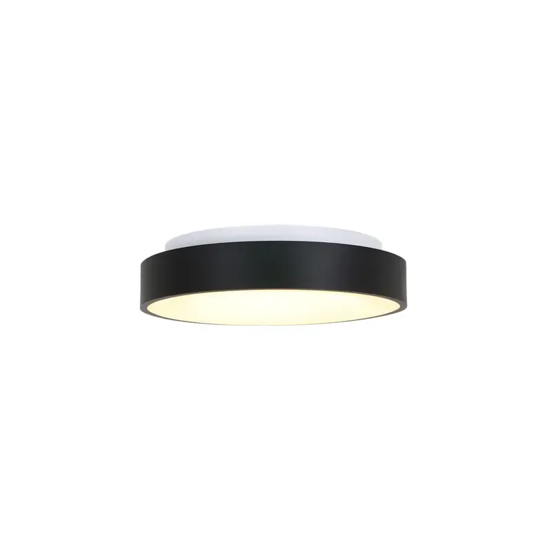 Foto 5 Plafondlamp Ringlede 3086ZW Zwart Ø30cm Ringlede 3086ZW