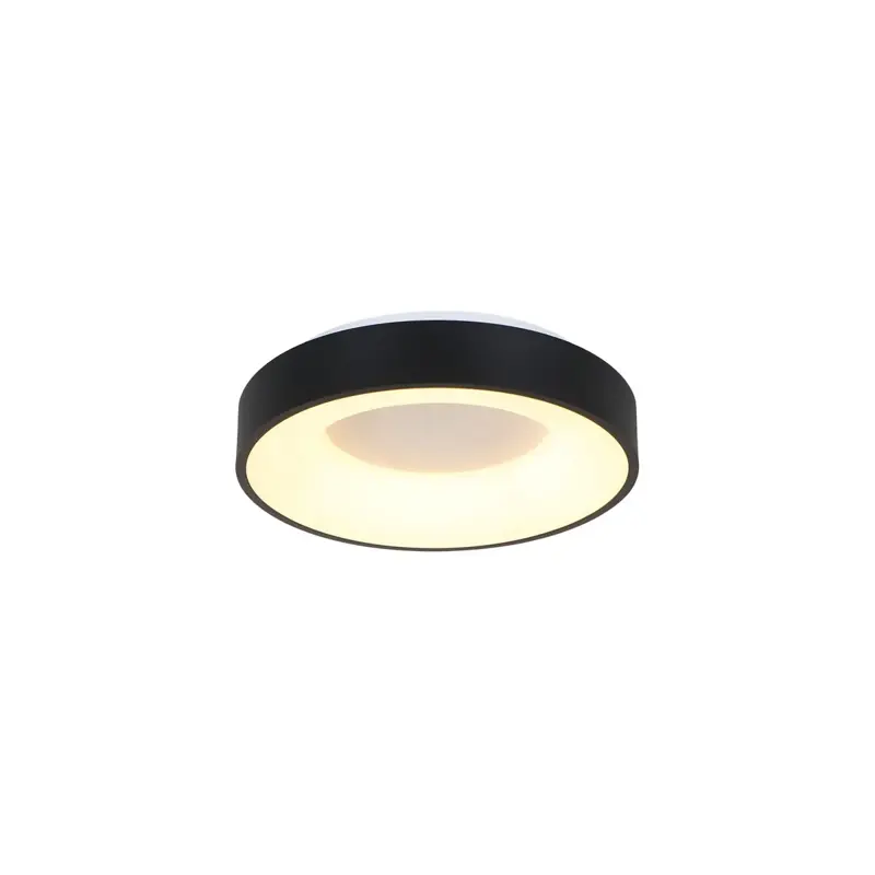 Foto 8 Plafondlamp Ringlede 3086ZW Zwart Ø30cm Ringlede 3086ZW