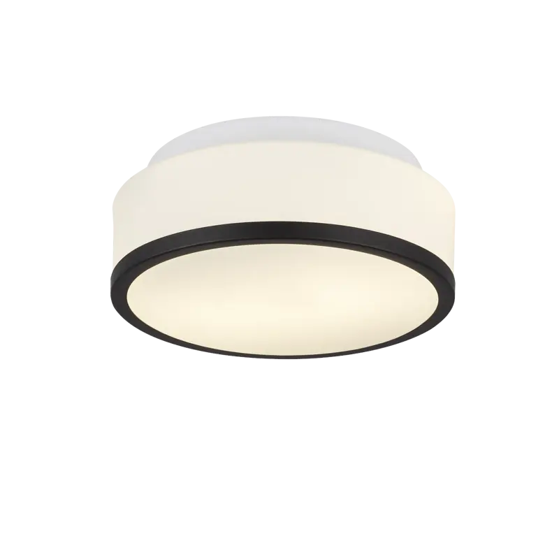 Foto 1 Cheese 2Lt Flush - Black Metal & White Glass