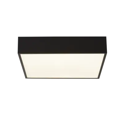Foto van Zeus Flush - Black Metal & Opal Polycarbonate